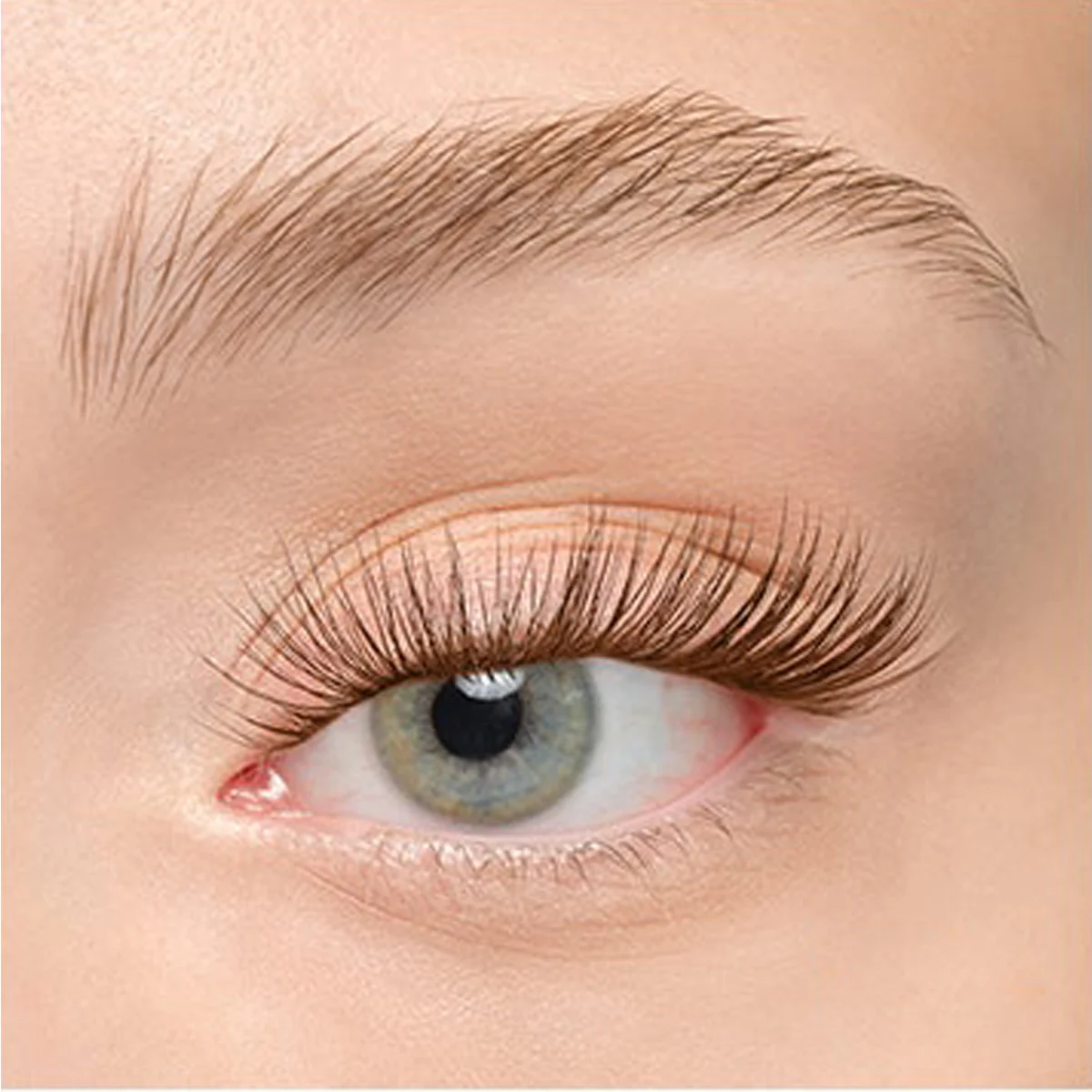 Product image 185