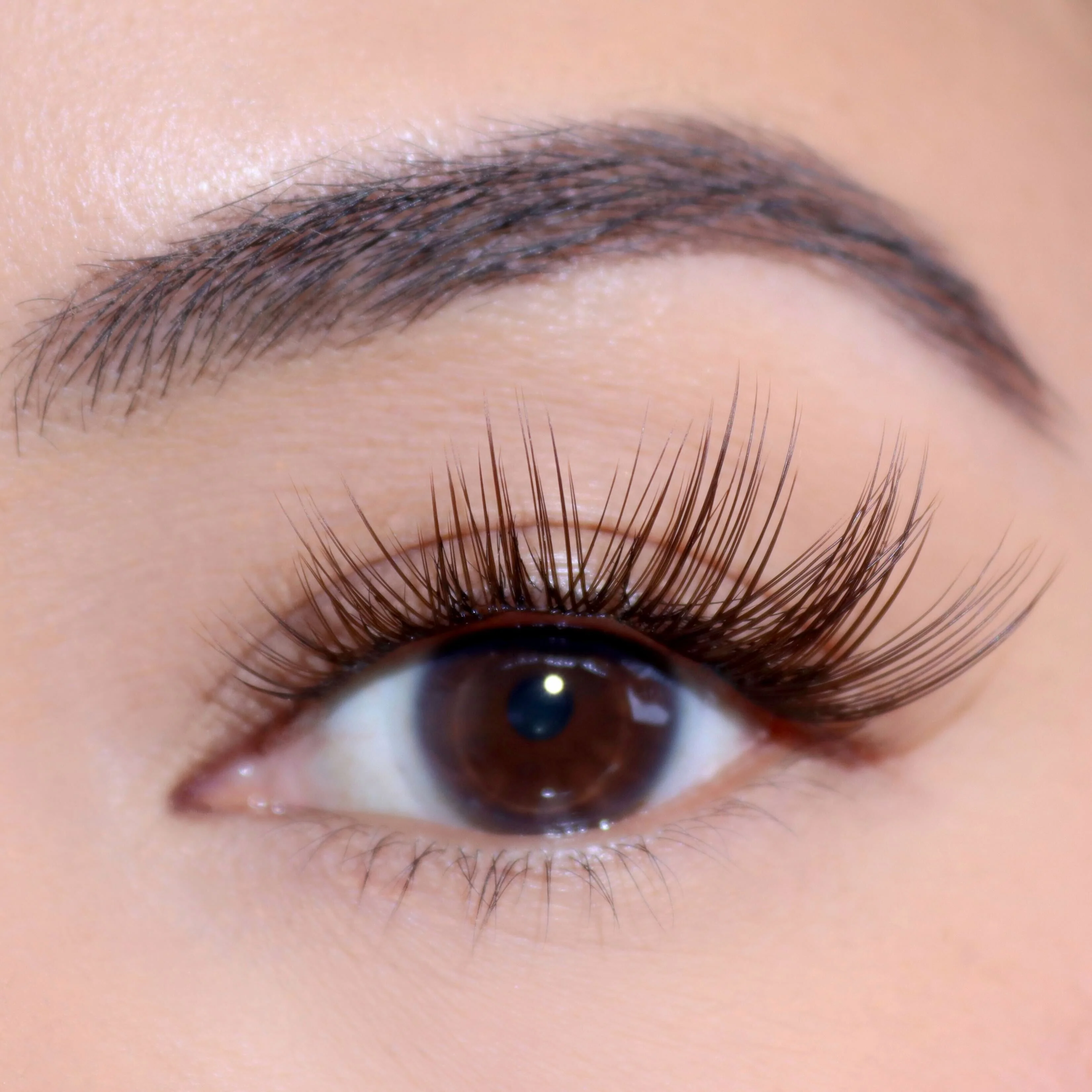 Product image 100